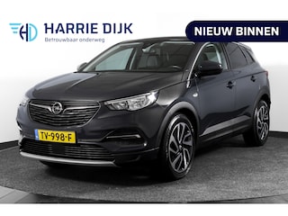 Opel Grandland X 1.2 Turbo 130 PK Business Executive Orig. NL | Cruise | Winterpakket | PDC | NAV + App. Connect | ECC | DAB | Elek, Klep | LM 19" |