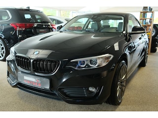 BMW 2-serie Coupé 220i High Executive Navi, H/leder, PDC, Clima, 18"inch!