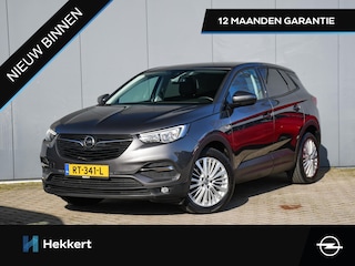 Opel Grandland X Online Edition 1.2 Turbo 130pk PDC | 18''LM | APPLE-CARPLAY | NAVI | CRUISE.C | DAB