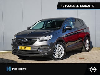 Opel Grandland X Online Edition 1.2 Turbo 130pk PDC | 18''LM | APPLE-CARPLAY | NAVI | CRUISE.C | DAB