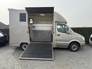 Mercedes-Benz Sprinter PAARDENWAGEN | HORSETRUCK | RC | CLASSIC 3XL | 2009 | 3-SEAT | MANUEEL | VEEL LAADVERMOGEN |  | NL KENTEKEN