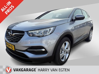 Opel Grandland X 1.2 Turbo Business Executive | Navi | Trekhaak | Stoel & Stuurverwarming |