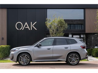 BMW X1 xDrive30e | M-Sport | Live Cockpit | Panorama | Alcantara/Leder | Memory | H&K | Head-Up | 20"LM | Frozen Pure Grey