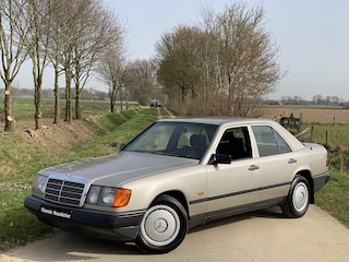 Mercedes-Benz Pullman 200D W124 1986, TREKHAAK, BEKLEDING