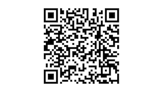 Volkswagen Polo 1.0 TSI HIGHLINE United Climate / ADCR / Apple car Play / LM 16Mooi!