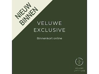 MG EHS 1.5 TGDI Luxury PHEV | Pano | Leder | 360 Camera |