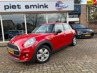 Mini Mini 1.2 Salt Business