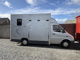 Mercedes-Benz Sprinter PAARDENWAGEN | HORSETRUCK | NUYTS | PRO SAFETY 3XL | 2001 | 128.519KM | AUTOMAAT | 3-SEAT | MARGE | NL KENTEKEN