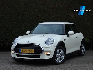 Mini Mini 1.2 Salt Business