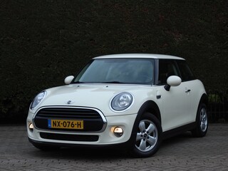 Mini Mini 1.2 Salt Business