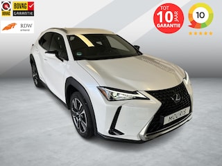 Lexus UX 250h Business Line Amazing edition