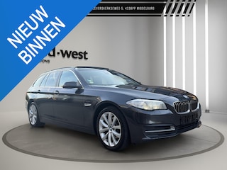 BMW 5-serie Touring 518 D Pano Memory Head UP