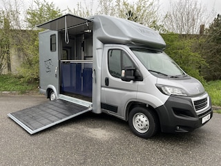 Peugeot Boxer Paardenwagen / Horsetruck / Veewagen