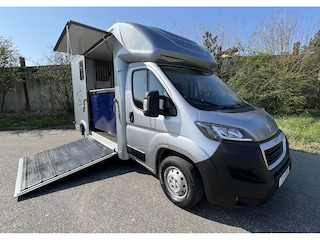 Peugeot Boxer Paardenwagen / Horsetruck / Veewagen