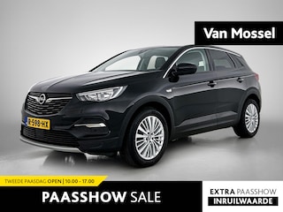 Opel Grandland X 1.2 Turbo Business Executive | Camera | Trekhaak | Apple Carplay/Android Auto |