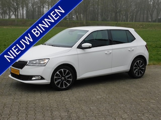 Skoda Fabia 1.0 TSI Business Edition, Carplay, Pdc, Trekhaak