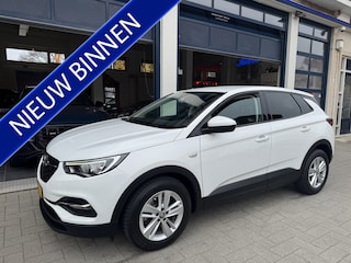 Opel Grandland X 1.2 Turbo Business + NL AUTO/TOPSTAAT