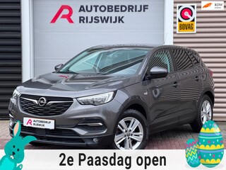 Opel Grandland X 1.2 Turbo Business Executive Trekhaak/Automaat