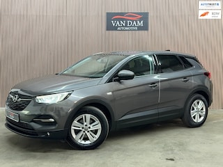 Opel Grandland X 1.2 Turbo Business Executive 2020 LED CRUISE NAVI