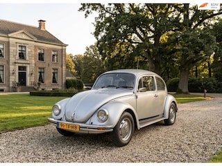 Volkswagen Kever 113141 Silverbug Uniek!