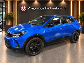 Opel Grandland 1.6 Turbo Plug-In Hybrid GS Line / 225pk / stuur verwarming / camera / Apple carplay