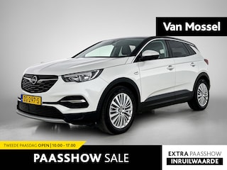 Opel Grandland X 1.6 Turbo Business Executive | Navigatie | Elektrische kofferbak | Carplay | Trekhaak |