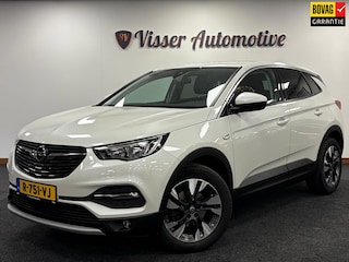 Opel Grandland X 1.2 Turbo Innovation*Winter-pakket*Camera*Electr-Klep*Cruise-Control*Trekhaak*Navi*PDC*