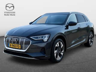 Audi e-Tron 55 quattro Business edition | Leder