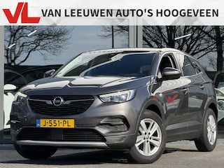 Opel Grandland X 1.2 Turbo Business Executive | Trekhaak | Volle auto! | RIJKLAAR
