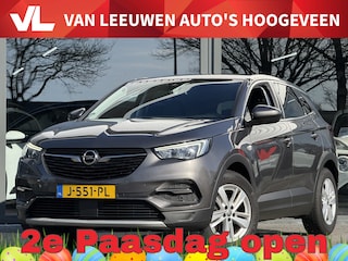 Opel Grandland X 1.2 Turbo Business Executive | Trekhaak | Volle auto! | RIJKLAAR