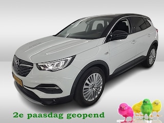 Opel Grandland X 1.2 Turbo Innovation 1e-Eig. & Dealer-Onderh. BOVAG-Garantie. NL-Auto.