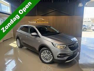 Opel Grandland 1.2 Turbo Business Edition X Navigatie 18 inch LMV Climate  Control Getint glas