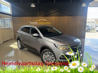 Opel Grandland 1.2 Turbo Business Edition X Navigatie 18 inch LMV Climate  Control Getint glas