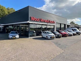 Hyundai Ioniq EV 120 pk Aut. Premium schuifdak/leer/mem/adapt. cruise