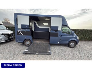 Renault Master | HORSETRUCK | THEAULT | PRO SAFETY 5 | 2009 | DUB CAB | 41.102KM | 5-SEAT | MANUEEL | 150PK | L3 | BELGISCH KENTEKEN