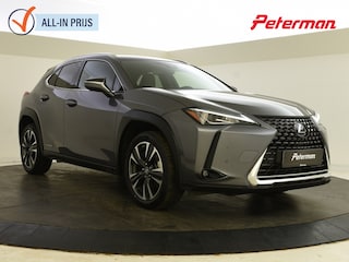 Lexus UX 250h Comfort Line | PDC V+A | Blindspot | Carplay |