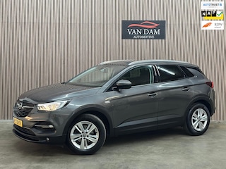 Opel Grandland X 1.2 Turbo Business Executive 2020 NAP LED CAR-PLAY