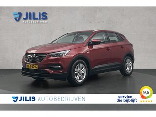 Opel Grandland X 1.2 Turbo Business Executive | Trekhaak | stoelverwarming | Cruise control