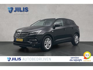 Opel Grandland X 1.2 Turbo Business Executive | Stoelverwarming | Cruise control | Apple Carplay