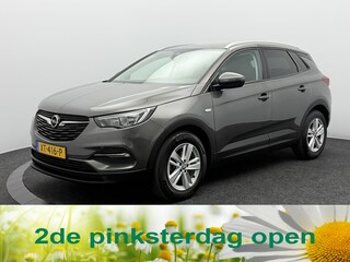 Opel Grandland X 1.2 Turbo Business + | Trekhaak | Camera | Navigatie | Carplay&Android