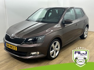 Skoda Fabia Occasion 1.2 TSI First Edition Style | Bruin | Tweedehands Skoda Fabia | Cruisecontrol | Airco | Bluetooth | Panorama