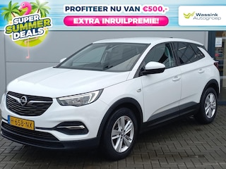 Opel Grandland X 1.2T 130pk Business Edition | Airconditioning | Navigatie | Winterpakket | Camera | Lm velgen