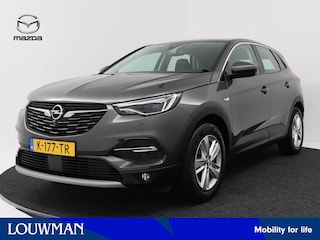 Opel Grandland X 1.2 Turbo Business Elegance | Trekhaak | Riem vervangen 2024 |