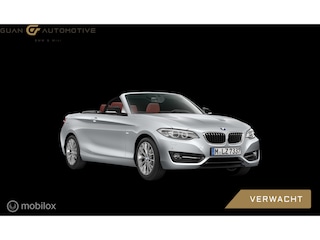BMW 2-serie Cabrio | H&K | AUT | Sportstoel |