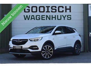 Opel Grandland X 1.6 T Hybrid4 Business Executive | Trekhaak | Camera | Carplay |