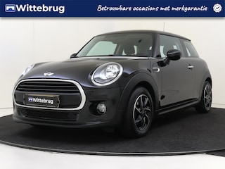 Mini Mini 1.2 Salt Business
