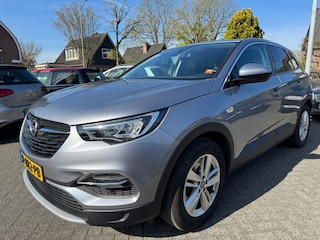 Opel Grandland X 1.2 Turbo Business Executive 131pk,Apk 18/6/27,Clima,Cruise,Navi,Nap