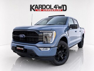 Ford F-150 PLATINUM V6 |NIGHT EDITION| incl. Tonneau cover in carroseriekleur | LPG | Trekhaak 13polig | Nieuwe auto | Geheel rijklaar | Incl. Fabrieksgarantie
