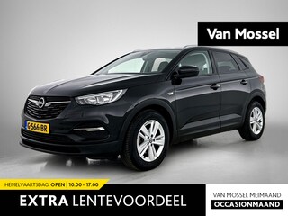 Opel Grandland X 1.2 Turbo Business + | 130pk | Navigatie | Camera |