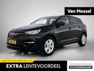 Opel Grandland X 1.2 Turbo Business + | 130pk | Navigatie | Camera |